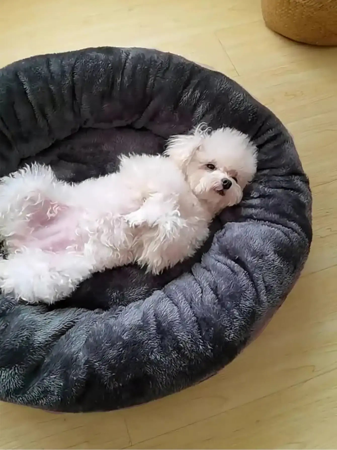 Donut Pet Bed