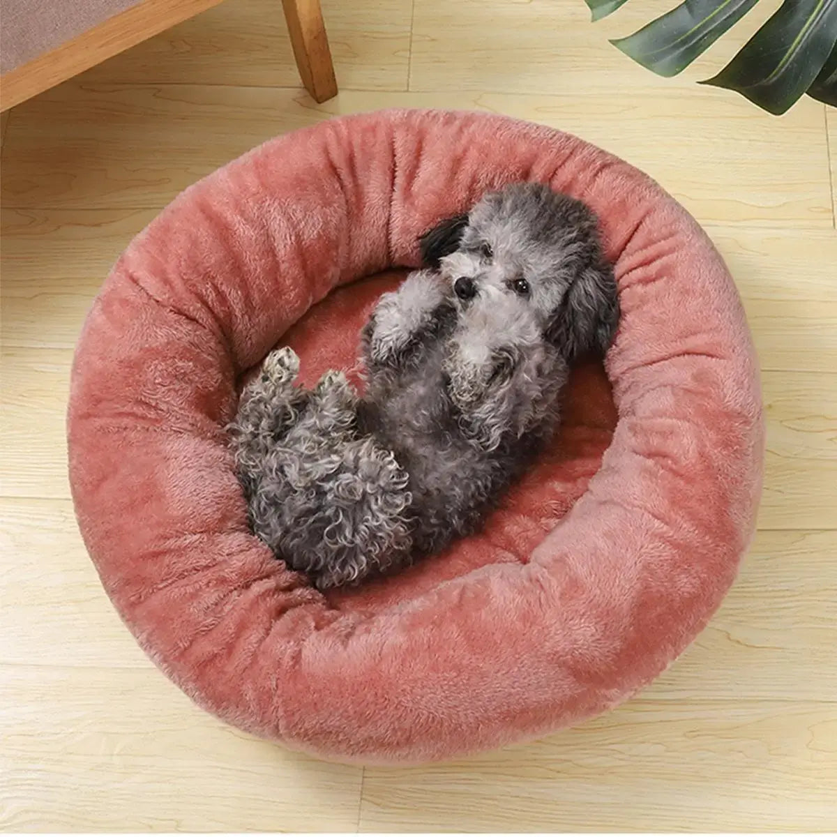 Donut Pet Bed