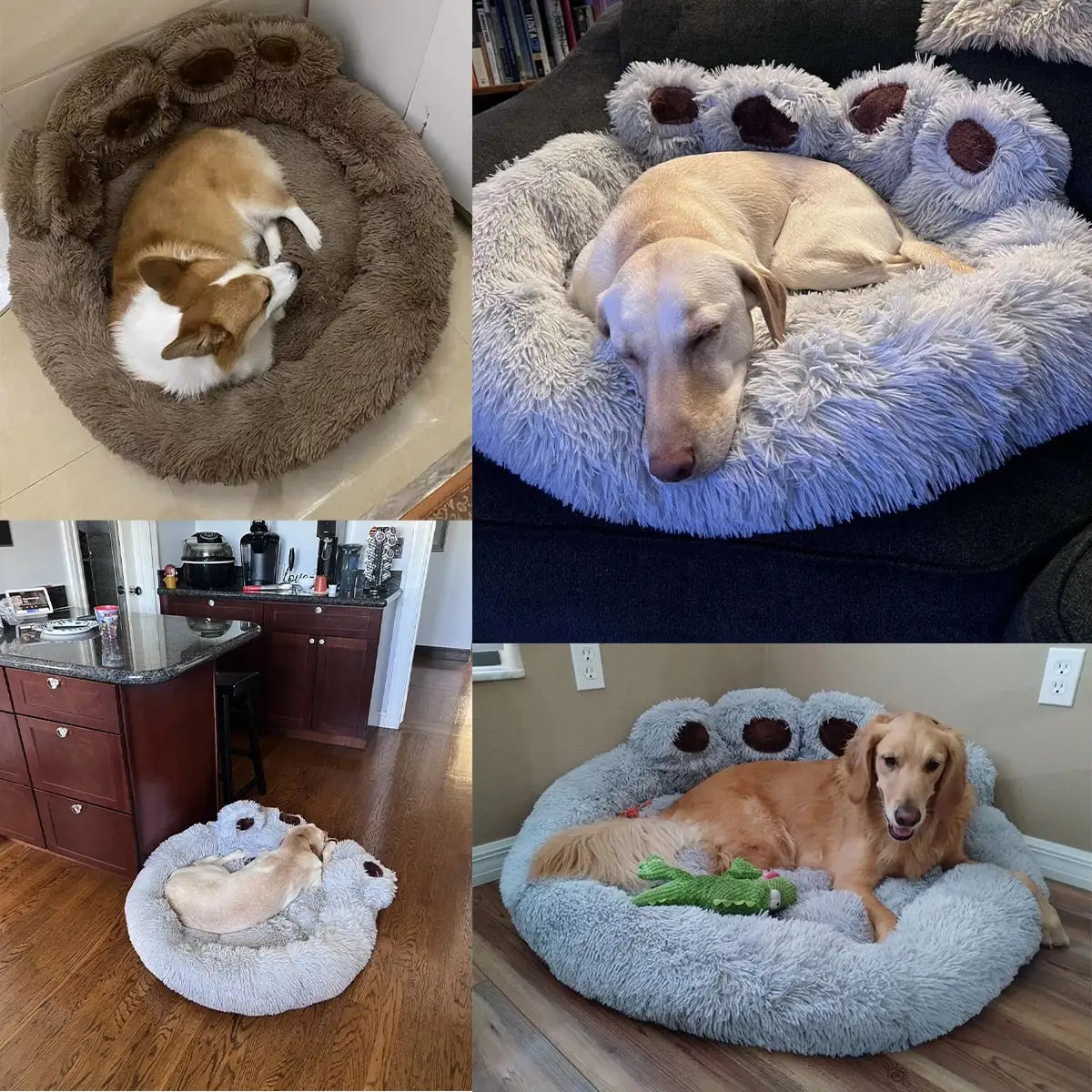 Relaxing Dog Sofa Bed