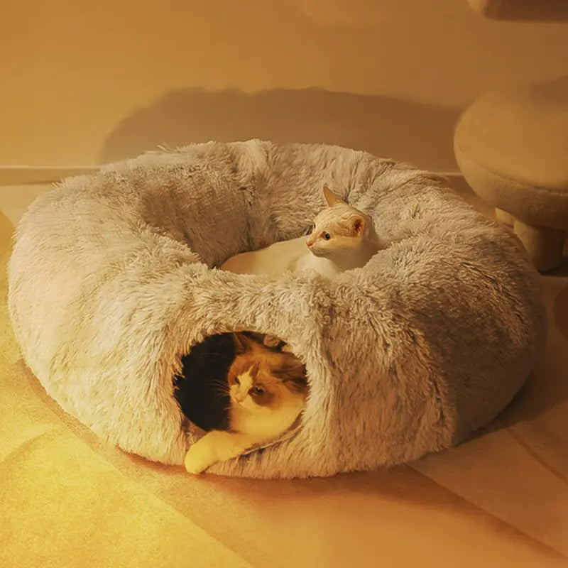 Kitty Cat House