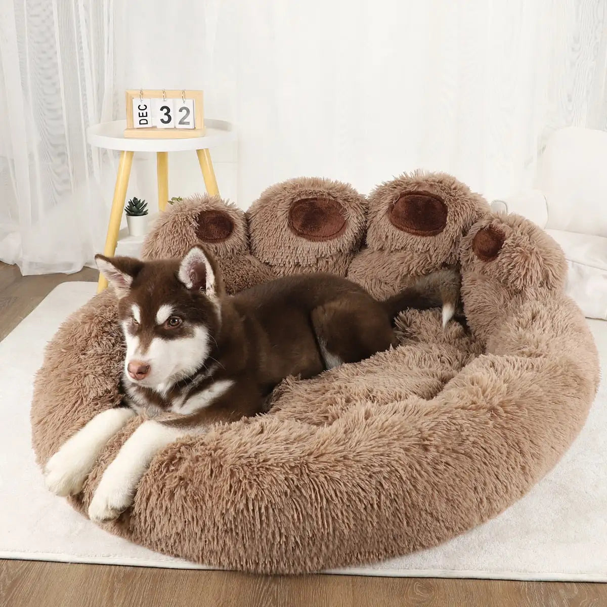 Relaxing Dog Sofa Bed